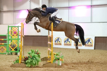 Michael Potter and Declan Irvine share the honours in The Champagne Cave Winter Grades B&C at Bury Farm Equestrian Centre Michael Potter and Declan Irvine share the honours in The Champagne Cave Winter Grades B&C at Bury Farm Equestrian Centre
